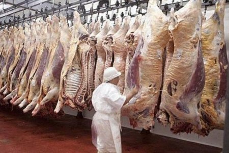 <p>Frigoríficos argentinos en alerta por caída del consumo de carne y pérdida de competitividad para exportar</p>