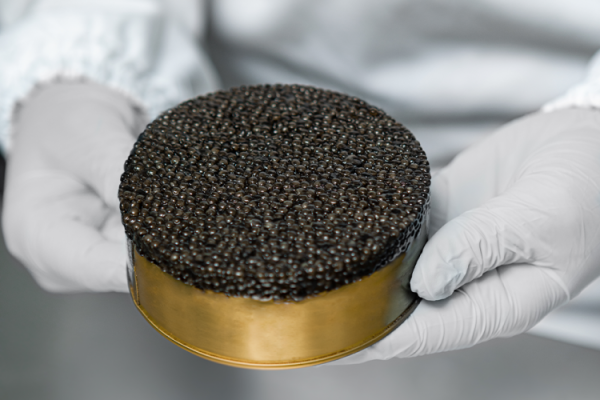 Creciente industria del caviar en Latinoamérica se prepara para el primer aumento de sus ventas en años