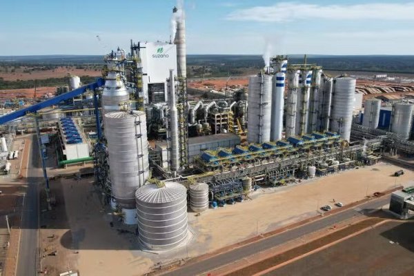 <p>Arauco y CMPC representan casi la mitad de los US$ 19 mil millones en inversiones anunciadas para industria forestal brasileña a 2028</p>