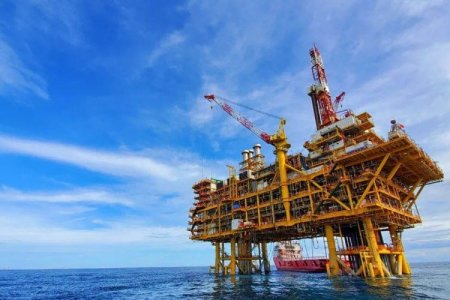 <p>TotalEnergies planea otro proyecto Fénix en Argentina y apuesta por la energía renovable</p>