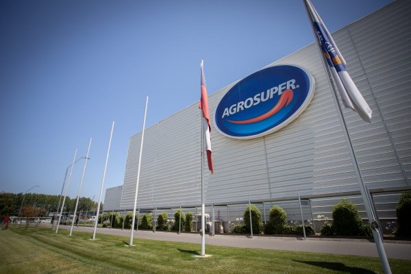 El día en que Gonzalo Vial Concha evaluó vender su participación en Agrosuper