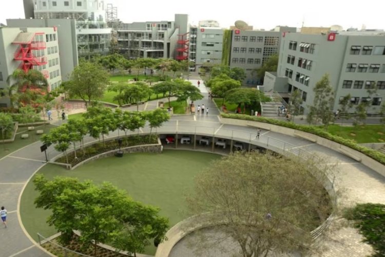 Minerva, la propuesta de la universidad de élite global que llega a Perú