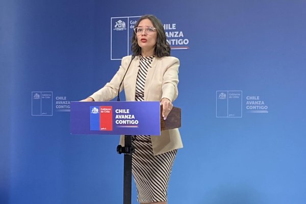Vallejo responde a las críticas de Mewes sobre el conflicto con PMGD: Un llamado a la realidad nacional