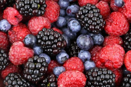 <p>Chilena Agroberries acuerda compra de gigante europea y se transforma en la segunda mayor comercializadora de berries del mundo</p>