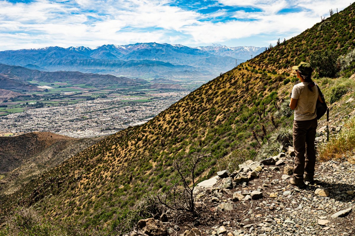 <p>Tres paseos para sorprenderse con el Valle del Aconcagua</p>