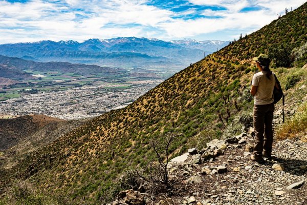 Tres paseos para sorprenderse con el Valle del Aconcagua