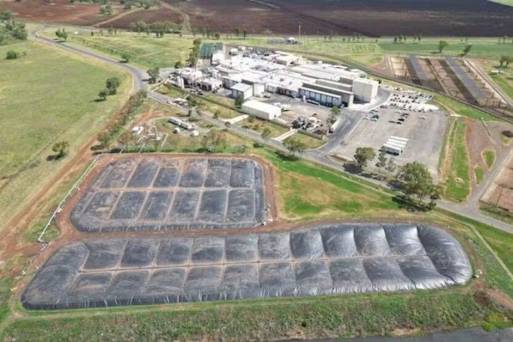 <p>Brasileña JBS anuncia una asociación para la producción de biogás en unidades de procesamiento de carne en EEUU</p>