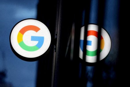 <p>Google compra sus primeros créditos de carbono a la empresa brasileña Mombak</p>