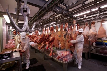 <p>Cuatro frigoríficos argentinos entrarán con sus carnes a China</p>