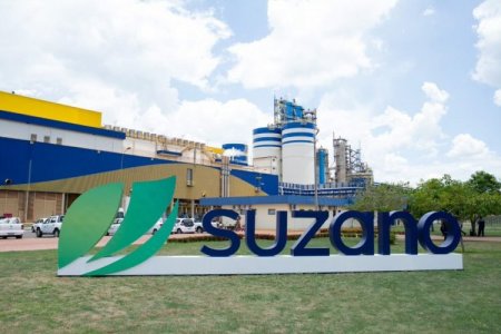 <p>Brasileña Suzano reduce estimación de producción para 2024 en 4% ante "complejo escenario" para la industria</p>