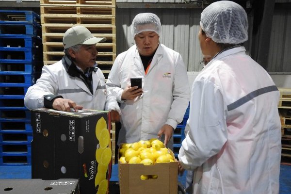Cadena minorista Freshippo, parte del grupo chino Alibaba, busca negocios en Chile