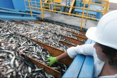 <p>Pesquera Austral apuesta por renovación de flotas y automatización de plantas en Perú</p>