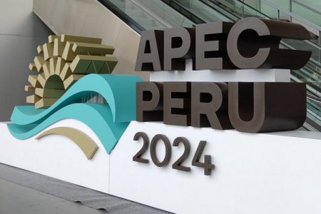 <p>Foro APEC en Perú beneficiaría a un millón de PYME, según la Cámara de Comercio de Lima</p>