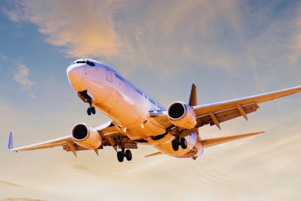 Argentina Flybondi pidió quitar una tasa clave que incrementa el costo de los pasajes de avión