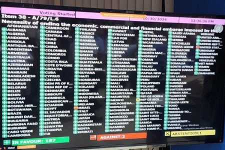 <p>El Gobierno de Milei votó a favor de Cuba en la ONU para levantar el embargo</p>