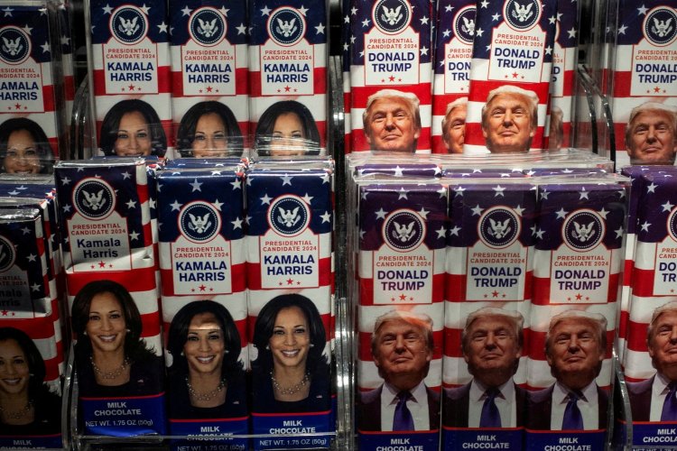 <p>¿Cómo las elecciones en EEUU pueden influir en el futuro del litio de Argentina?</p>
