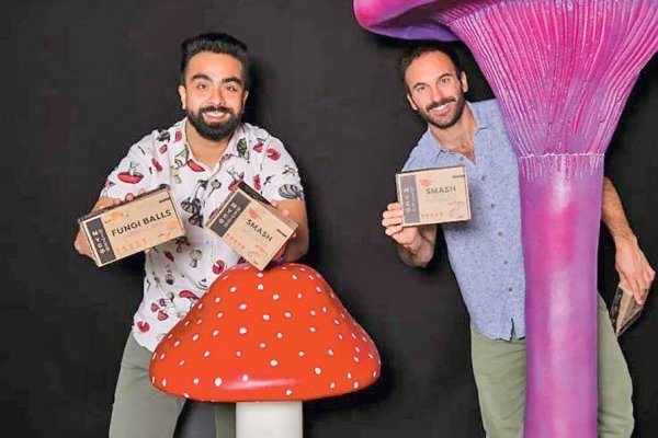 Cómo la foodtech Mycobites llegó a la quiebra