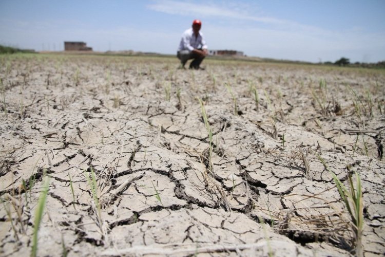<p>Perú: la crisis hídrica en Piura a dos semanas de que se declarara estado de emergencia</p>