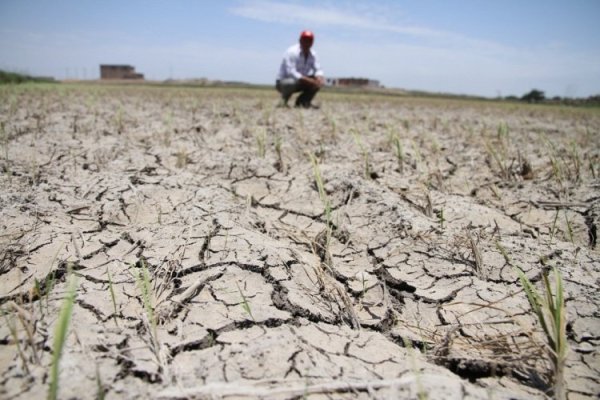 Perú: la crisis hídrica en Piura a dos semanas de que se declarara estado de emergencia