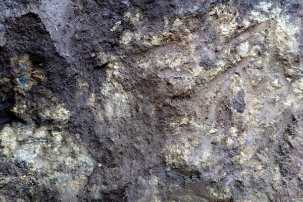Asociación clave para la extracción de tierras raras en Penco
