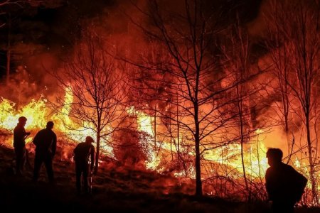 <p>Ecuador entra en estado de emergencia nacional por 60 días ante ola de incendios y sequía</p>