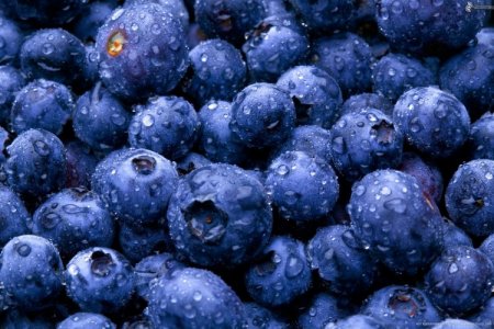 <p>Cooperación China-América Latina genera nueva etapa para expansión comercial de Shenzhen</p>