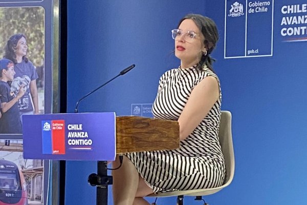 Boric anticipa denuncia a ministros, Vallejo defiende su falta de sustento