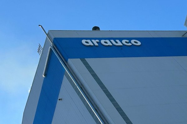 Arauco recauda UF 10 millones en colocación de bonos y logra la tasa más baja del mercado chileno en 2024