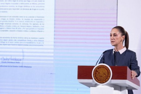 <p>Sheinbaum manda mensaje a EEUU y Canadá: "A México se le respeta"</p>