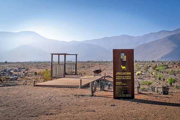 Dominga vuelve al ruedo: Tribunal Ambiental anula decisión del Comité de Ministros que había rechazado el proyecto
