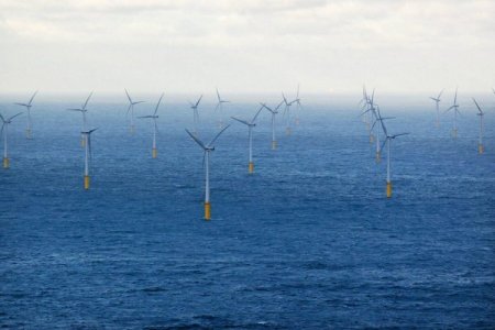 <p>Colombia habilita empresas interesadas en primera ronda de energía eólica costa afuera</p>