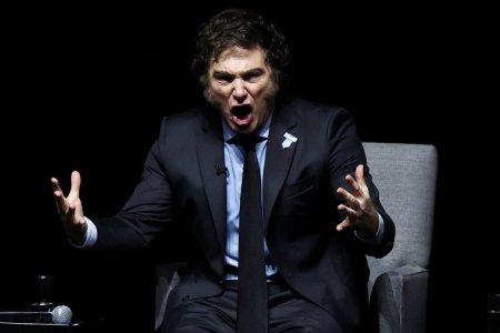 <p>Argentina: ¿Javier Milei demostró que sus críticos estaban equivocados?</p>