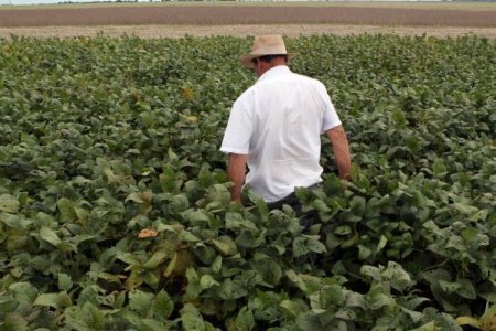 <p>Número de adquisiciones y fusiones de empresas agro en Brasil aumenta un 125%</p>