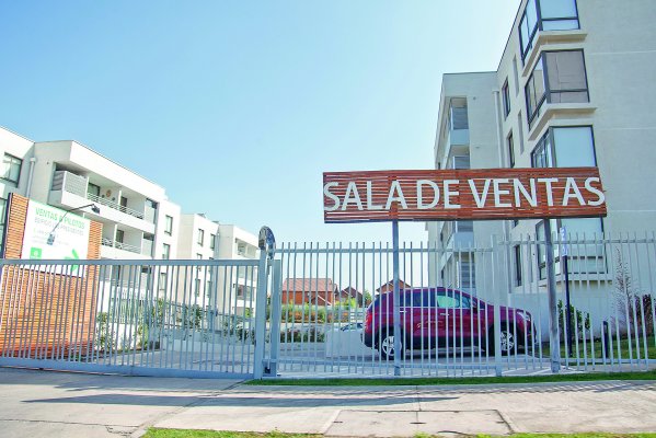 <p>Foto: Patricio Valenzuela</p>
