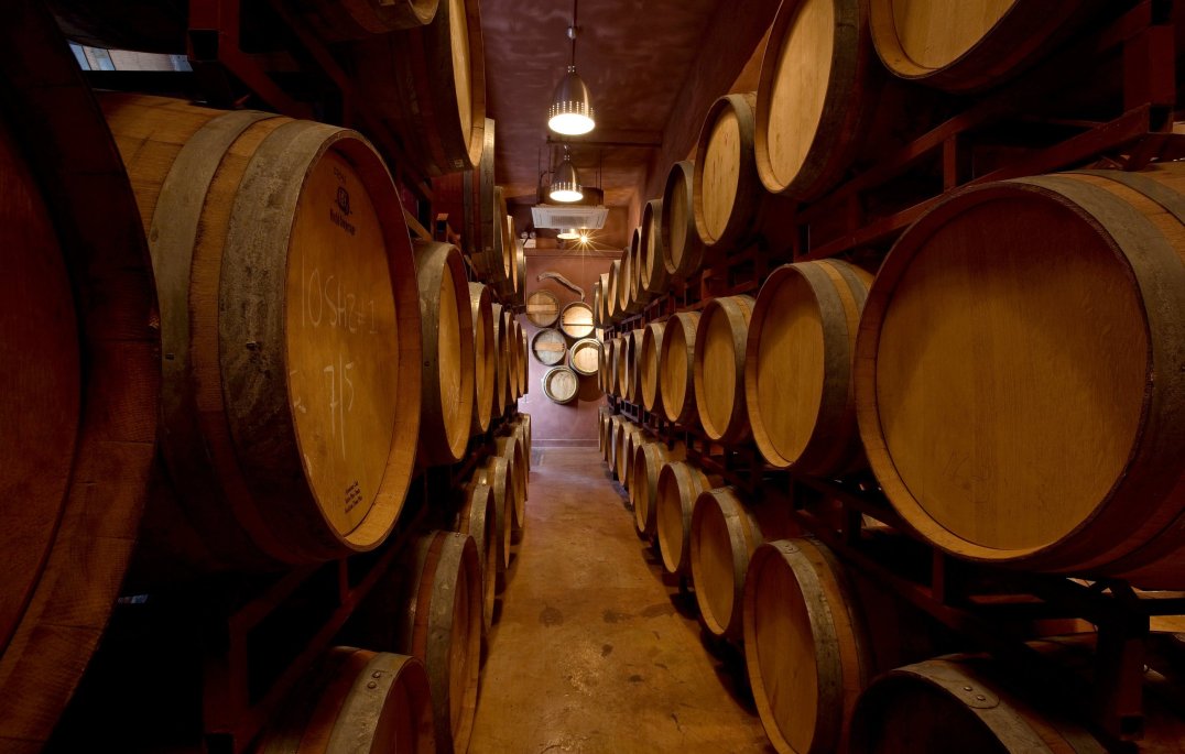 Columnista de Bloomberg destaca vinos chilenos en prestigiosa lista