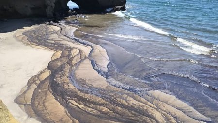 Petroperú de nuevo en la mira: Fiscalía de Perú inició una investigación en contra de la firma por derrame en Talara