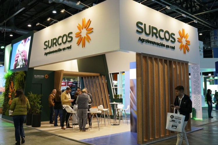 <p>Surcos, la agrícola argentina que embargaron en vísperas de Navidad</p>