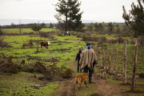 La Araucanía pierde miles de millones en inversiones por permisos no aprobados