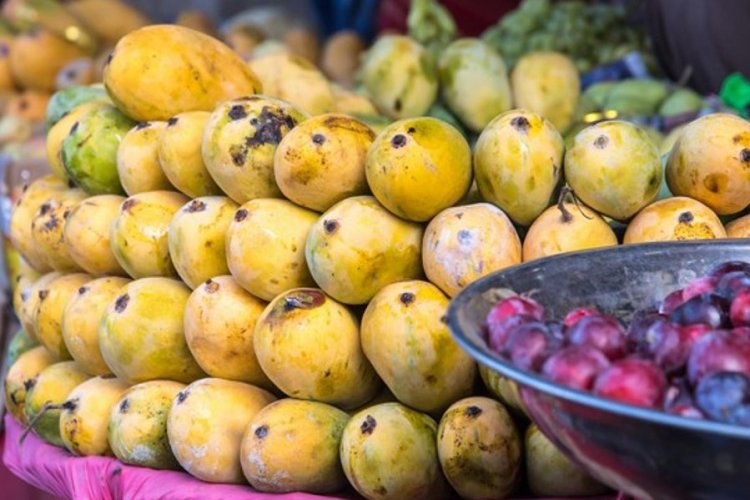 <p>Mango de Perú en su hora más dulce: podría llegar a Indonesia y Malasia en 2025</p>
