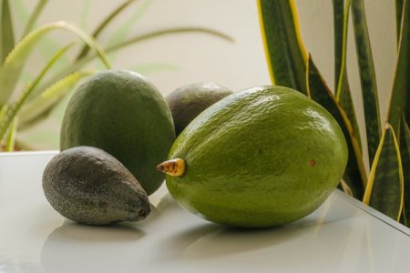 Primeros envíos de palta a China salen de Chancay, pero precios caen