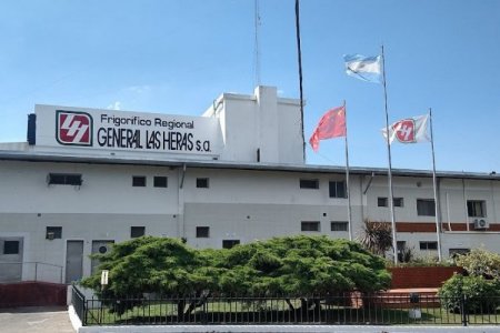 Crisis en frigorífico argentino: incumplimientos con China complican exportaciones de carne