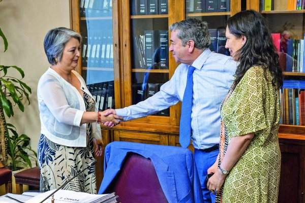 Nuevo Seguro Social: Entidad gestora, inversiones y administración