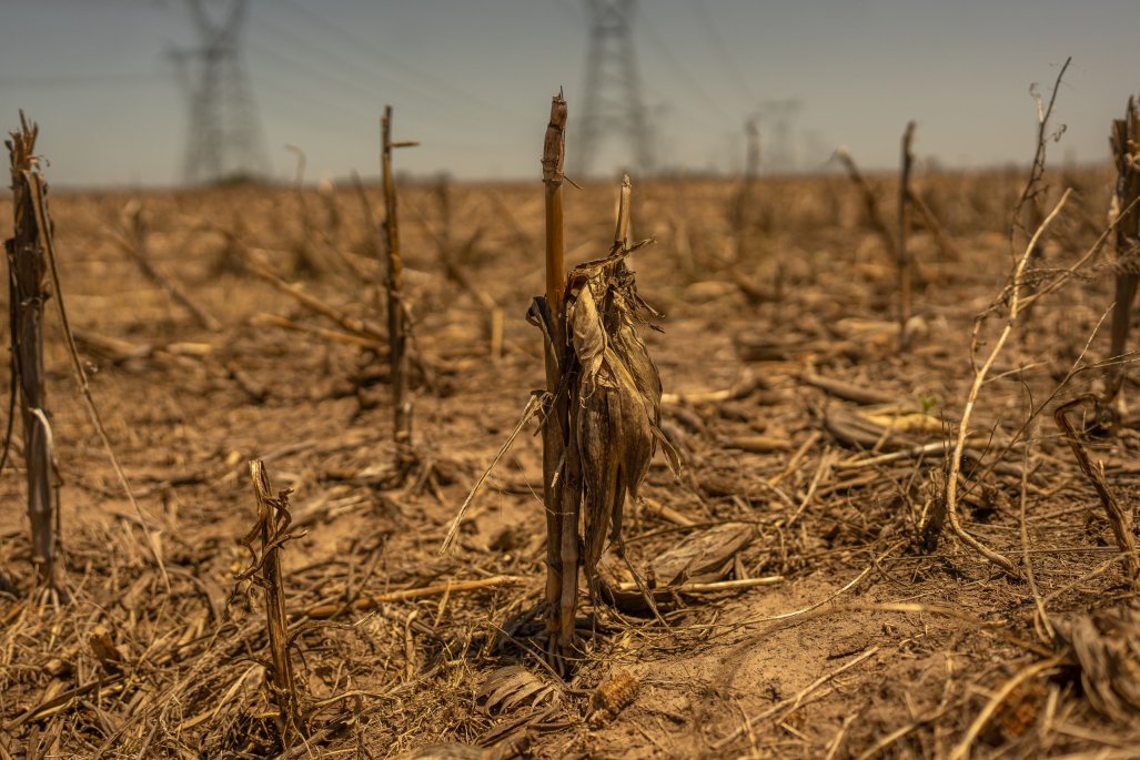 Megasequías: El cambio climático extiende la crisis global