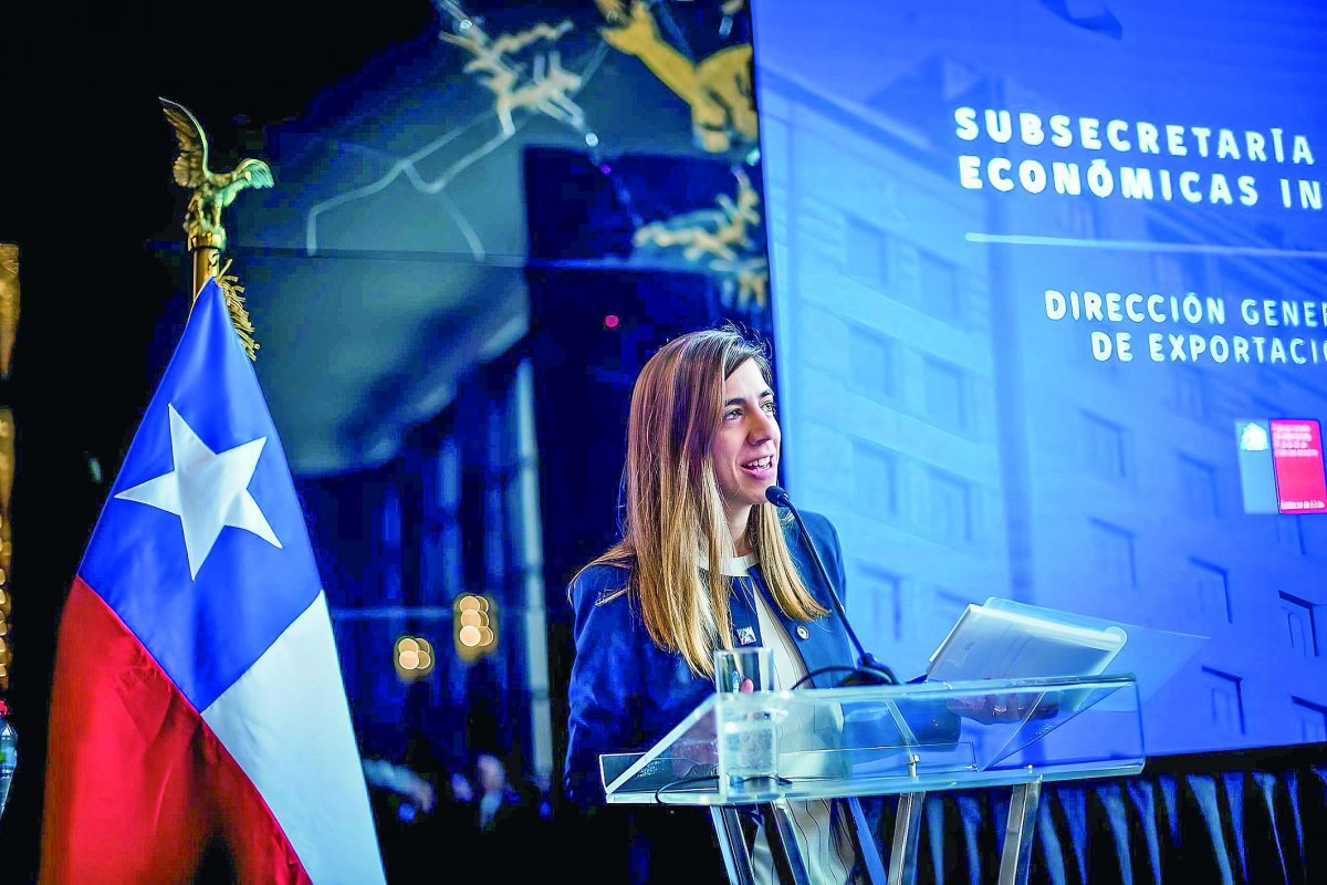 <p>Quién es Katherine Lama, la responsable de la agenda del Secretario General de la OCDE, Mathias Cormann, en su visita a Chile</p>