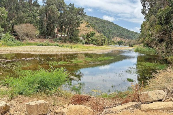 Los ecos que deja una disputa vecinal en Zapallar