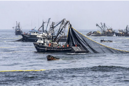 <p>Pesca ilegal: navíos extranjeros “huyen” del mar peruano</p>