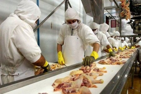 <p>Principal avícola de Argentina profundiza recortes de personal en medio de crisis</p>