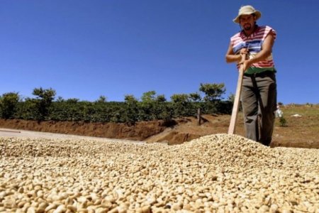 <p>Agro y textiles: los sectores que protege el TLC entre EEUU y Colombia</p>