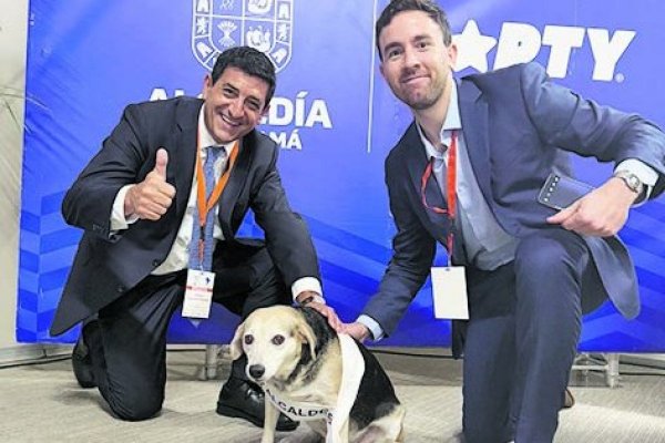 Una comida donde Pablo Terrazas con exministros, senadores y la candidata Matthei: la otra cita del Davos latinoamericano