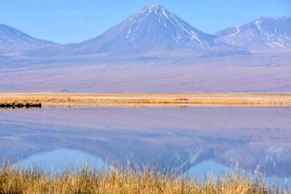 Codelco y socios buscan liderar el futuro del litio en Chile